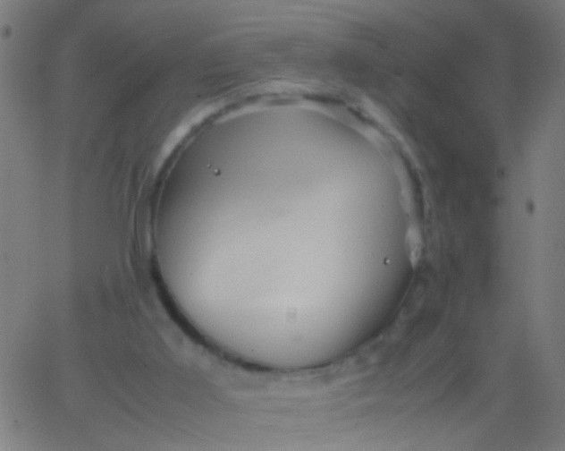 X0000067910011200604271929