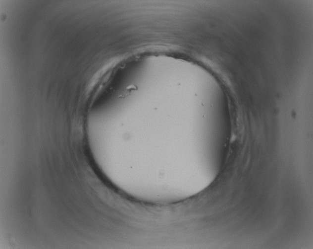 X0000067910015200604271929