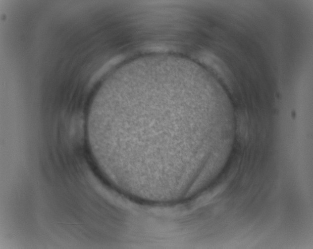 X0000067910016200604271929