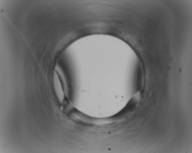 X0000067910017200604271929