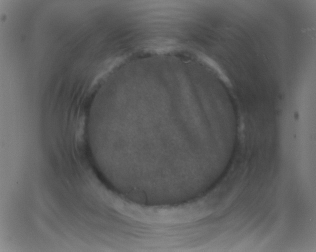 X0000067910018200604271929