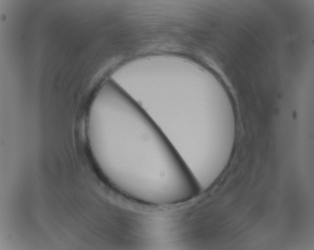 X0000067910019200604271929