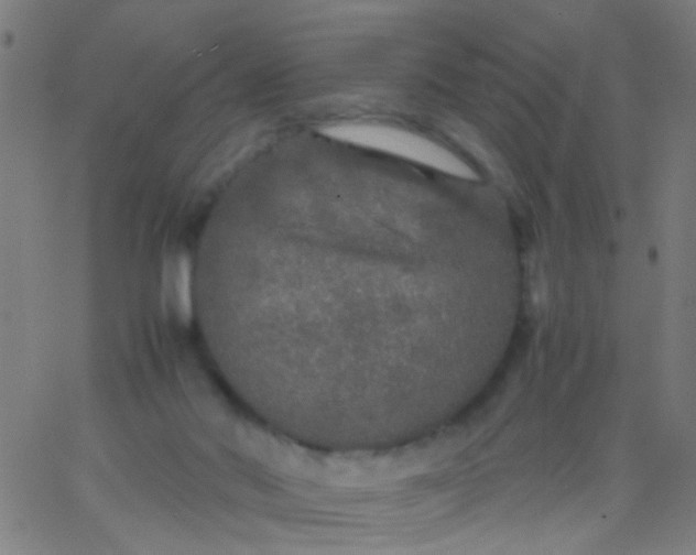 X0000067910022200604271929