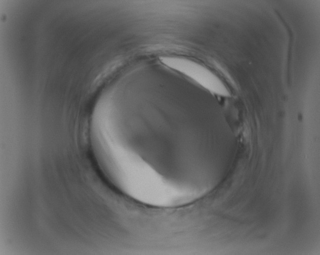 X0000067910023200604271929