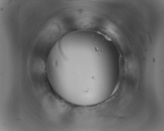 X0000067910025200604271929