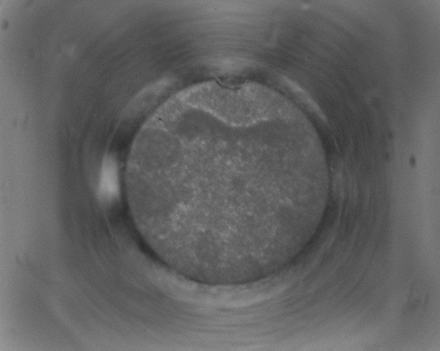 X0000067910026200604271929