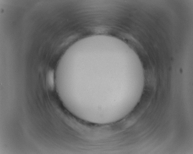 X0000067910028200604271929