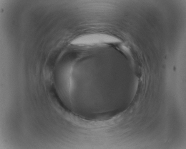 X0000067910031200604271929