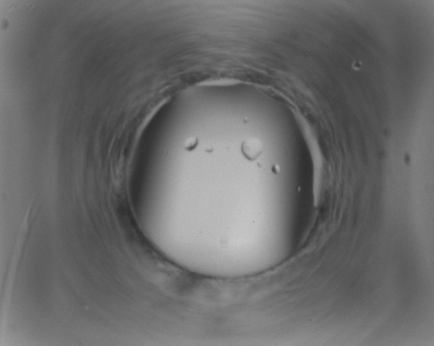 X0000067910033200604271929