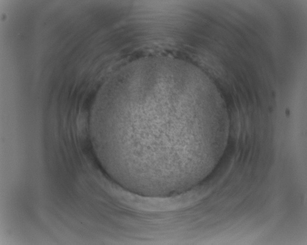 X0000067910034200604271929