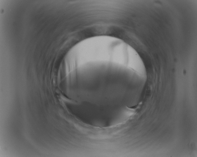 X0000067910035200604271929