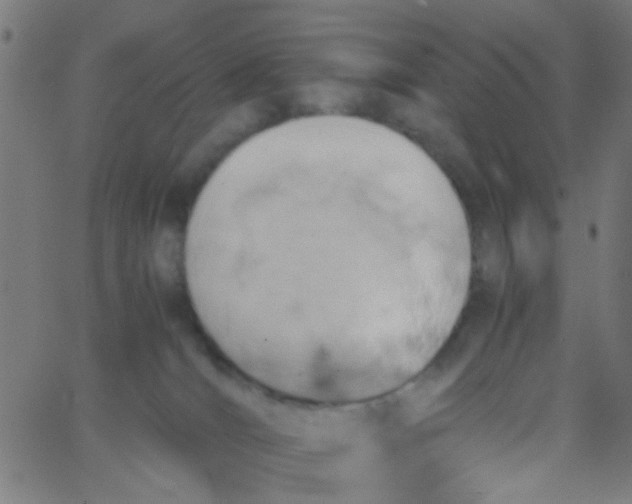 X0000067910036200604271929