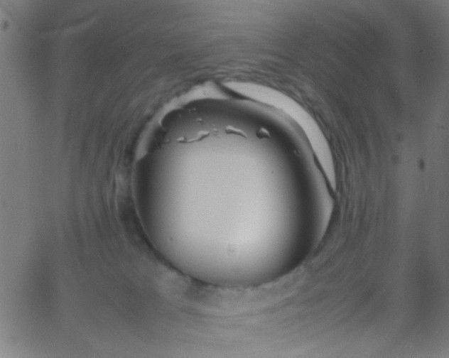 X0000067910037200604271929