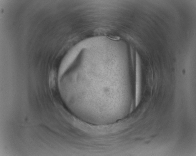 X0000067910038200604271929