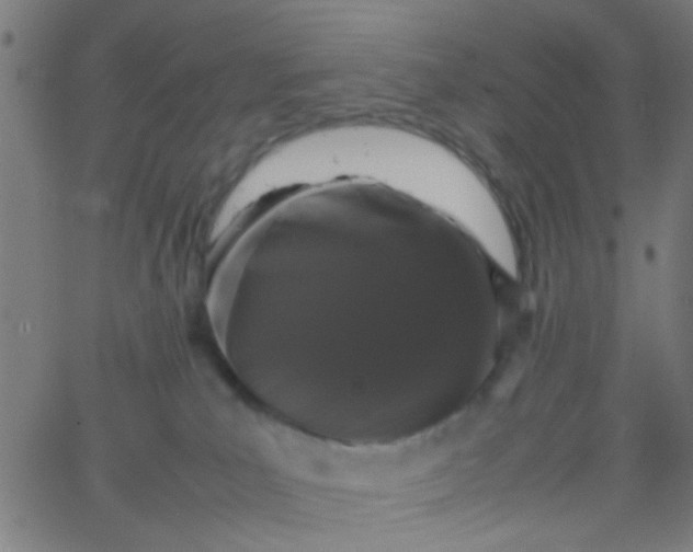 X0000067910039200604271929