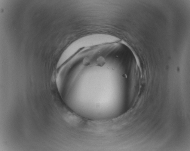 X0000067910041200604271929