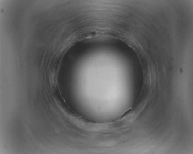 X0000067910044200604271929