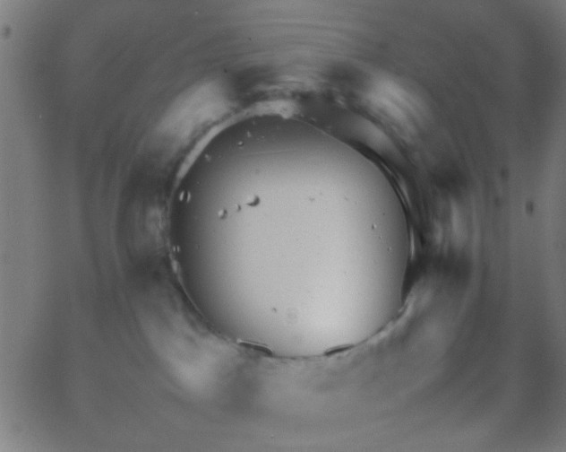 X0000067910045200604271929