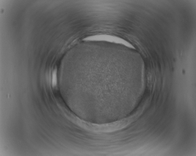 X0000067910046200604271929