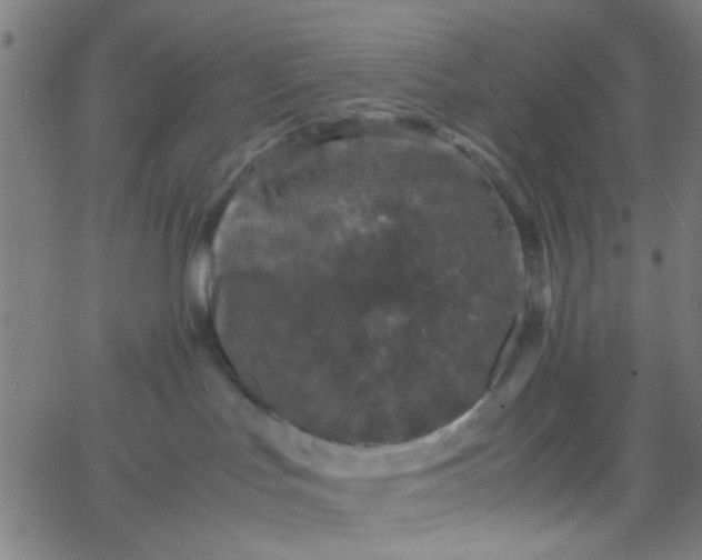 X0000067910047200604271929