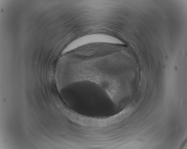 X0000067910048200604271929