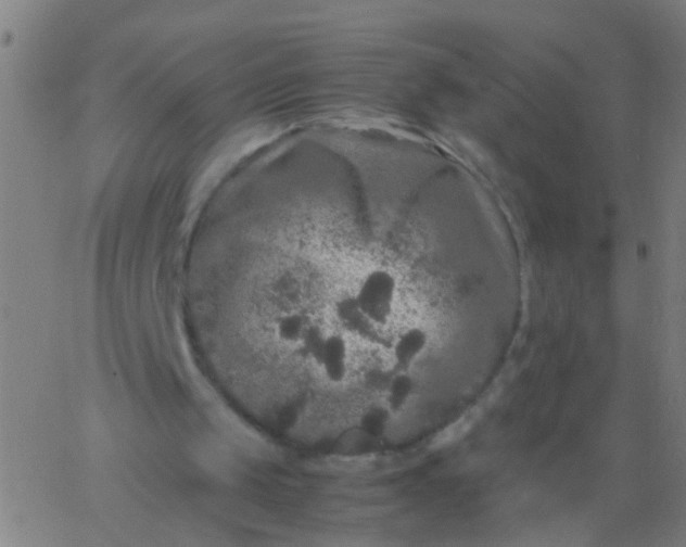 X0000067910049200604271928