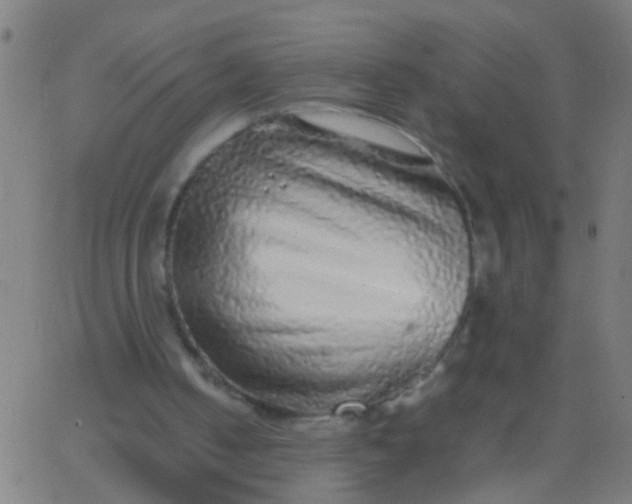 X0000067910050200604271928