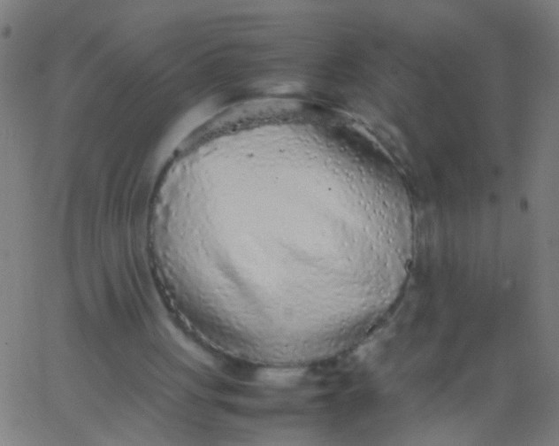 X0000067910051200604271928