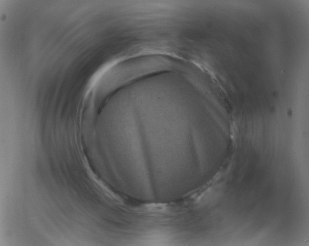 X0000067910052200604271928