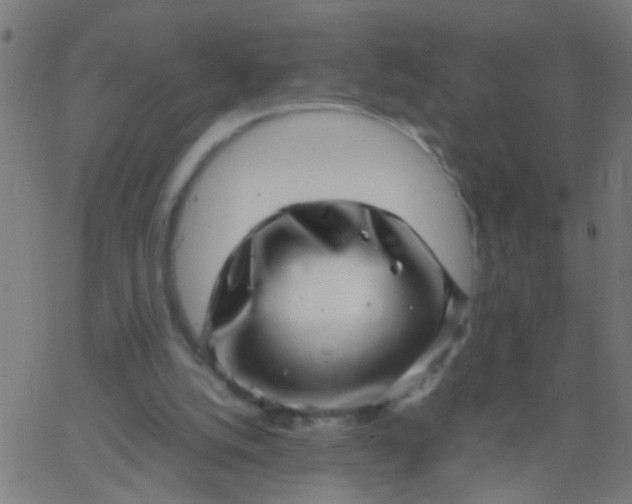 X0000067910056200604271928