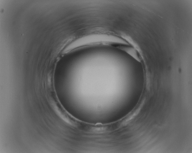 X0000067910057200604271928