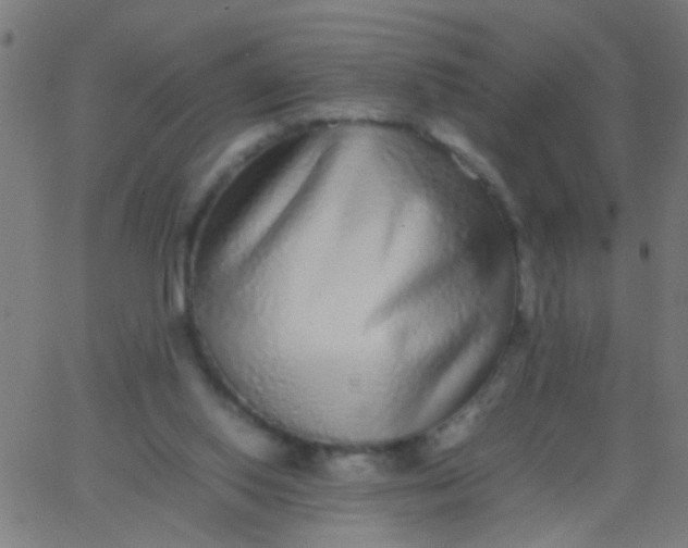 X0000067910062200604271928