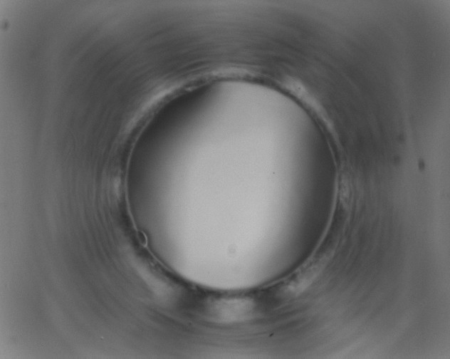 X0000067910063200604271928