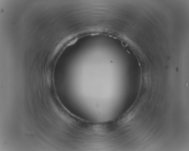 X0000067910064200604271928