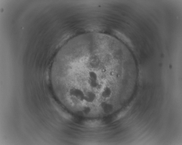 X0000067910065200604271928