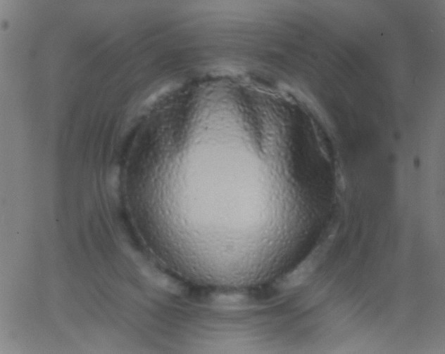 X0000067910066200604271928