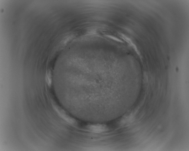 X0000067910069200604271928