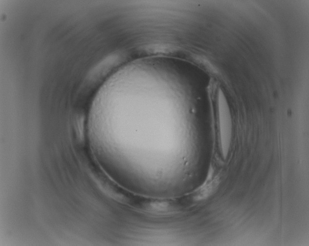 X0000067910070200604271928