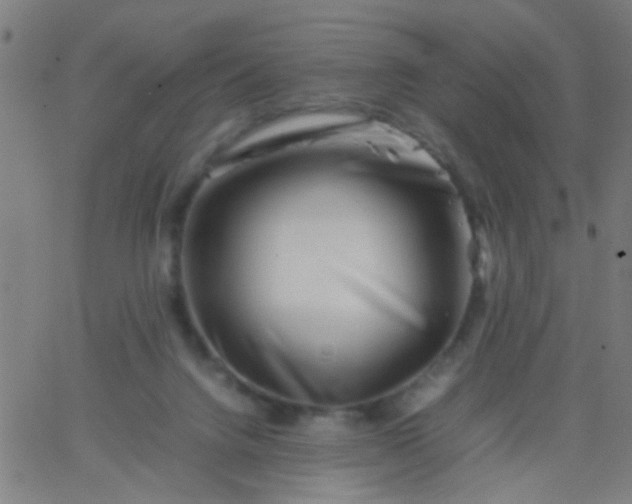 X0000067910072200604271928