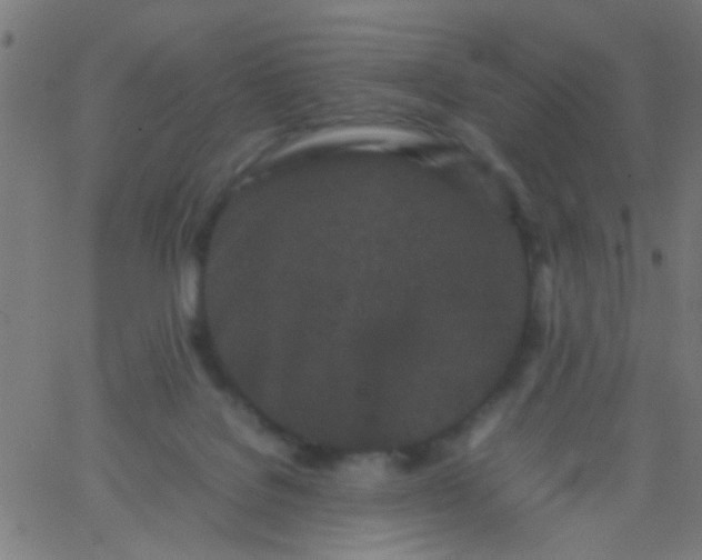 X0000067910076200604271928