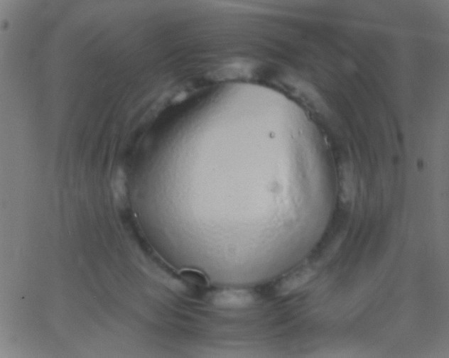 X0000067910077200604271928