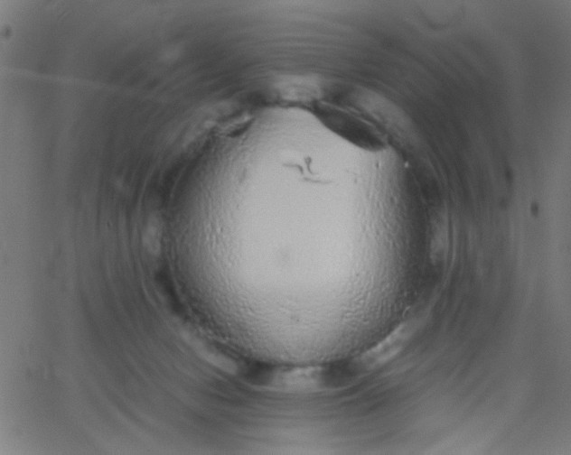 X0000067910078200604271928