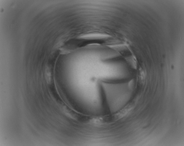 X0000067910080200604271928