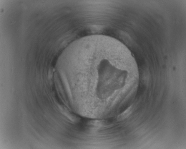 X0000067910082200604271928