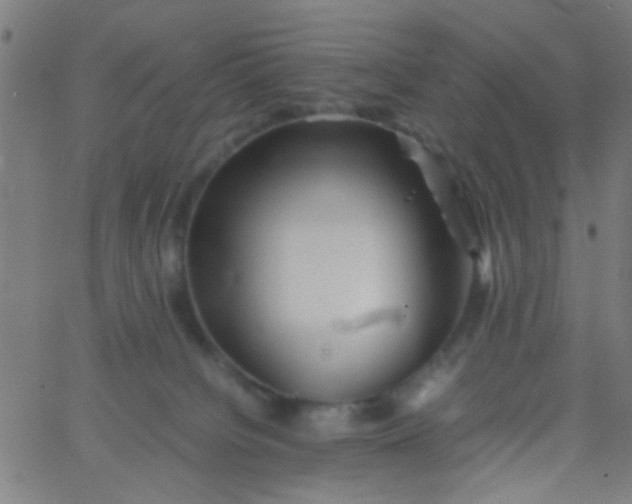 X0000067910084200604271928