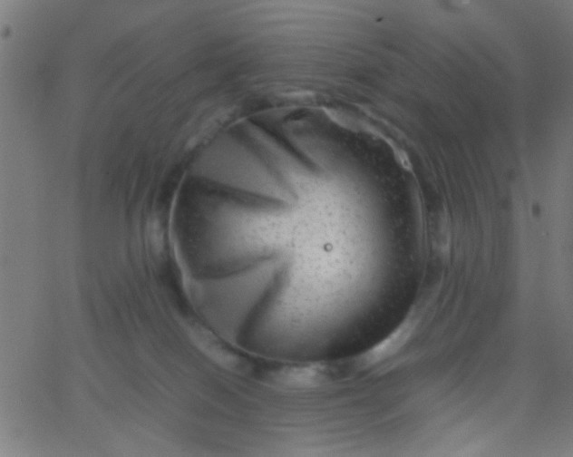 X0000067910086200604271929