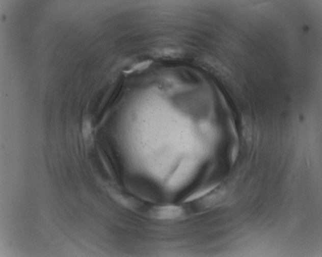 X0000067910087200604271929