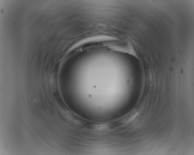 X0000067910088200604271929