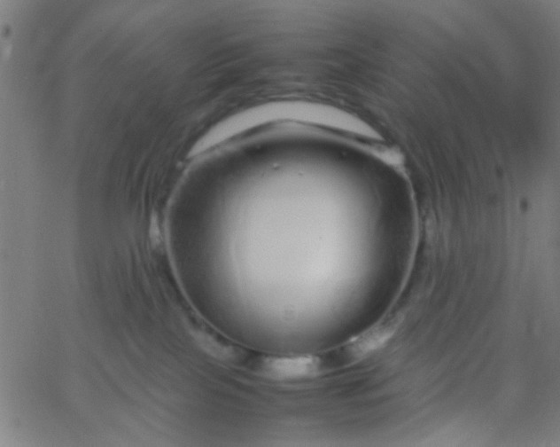 X0000067910089200604271929