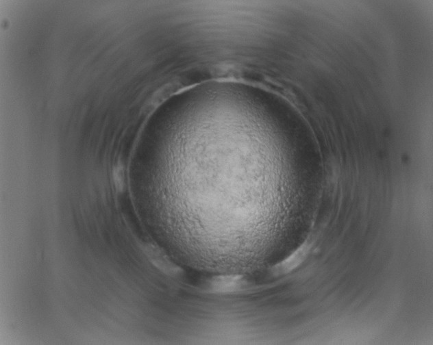 X0000067910090200604271929